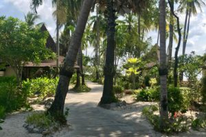 Amon Tour Krabi Thailande - 197