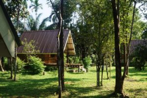 Khao Sok Jungle resort KSJR garden view Khao Sok Jungle resort KSJR garden view