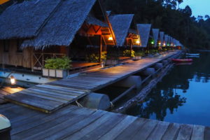 OLYMPUS DIGITAL CAMERA OLYMPUS DIGITAL CAMERA